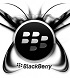 Government to negotiate with BlackBerry undo its exit from Pakistan