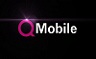 QMobile offers two new bar phones.