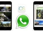 Whatsapp IOS Update Brings Auto Albums and Photo Filters