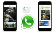 Whatsapp IOS Update Brings Auto Albums and Photo Filters