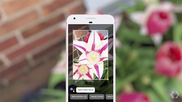 Google Lens is now available through Google Photos in all iOS and Android devices